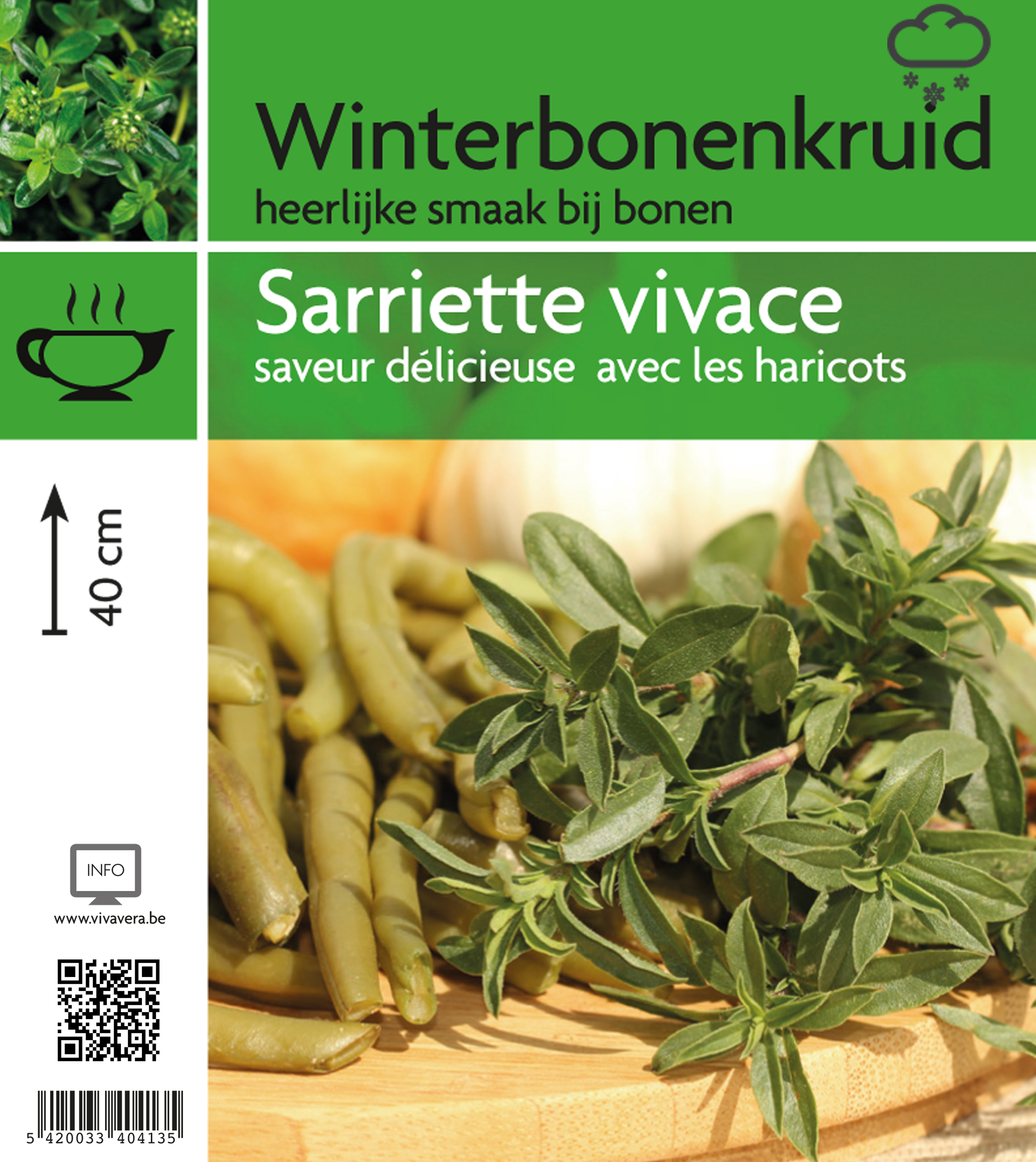 Sarriette vivace (tray 15 pot)