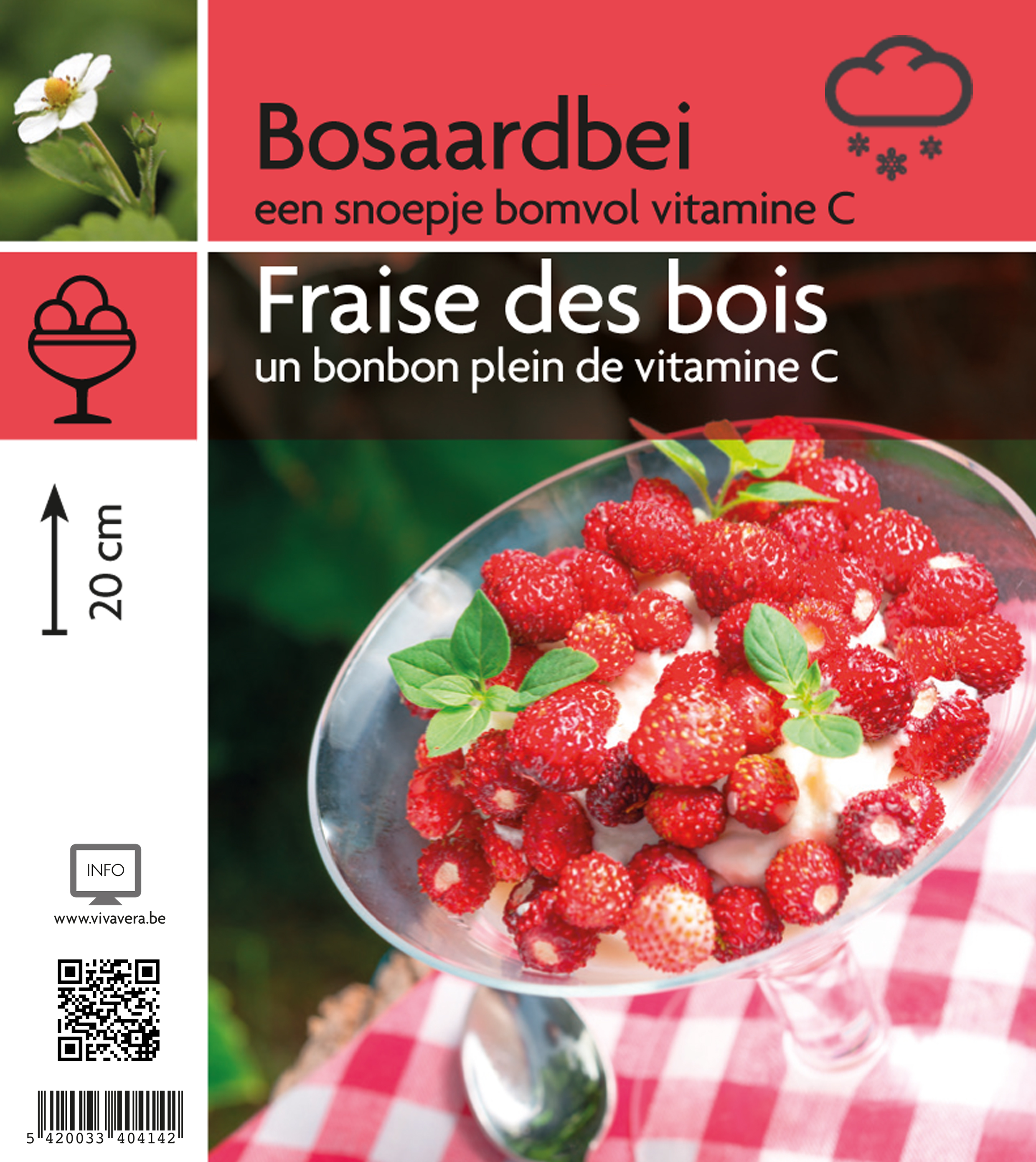 Bosaardbei (tray 15 pot)