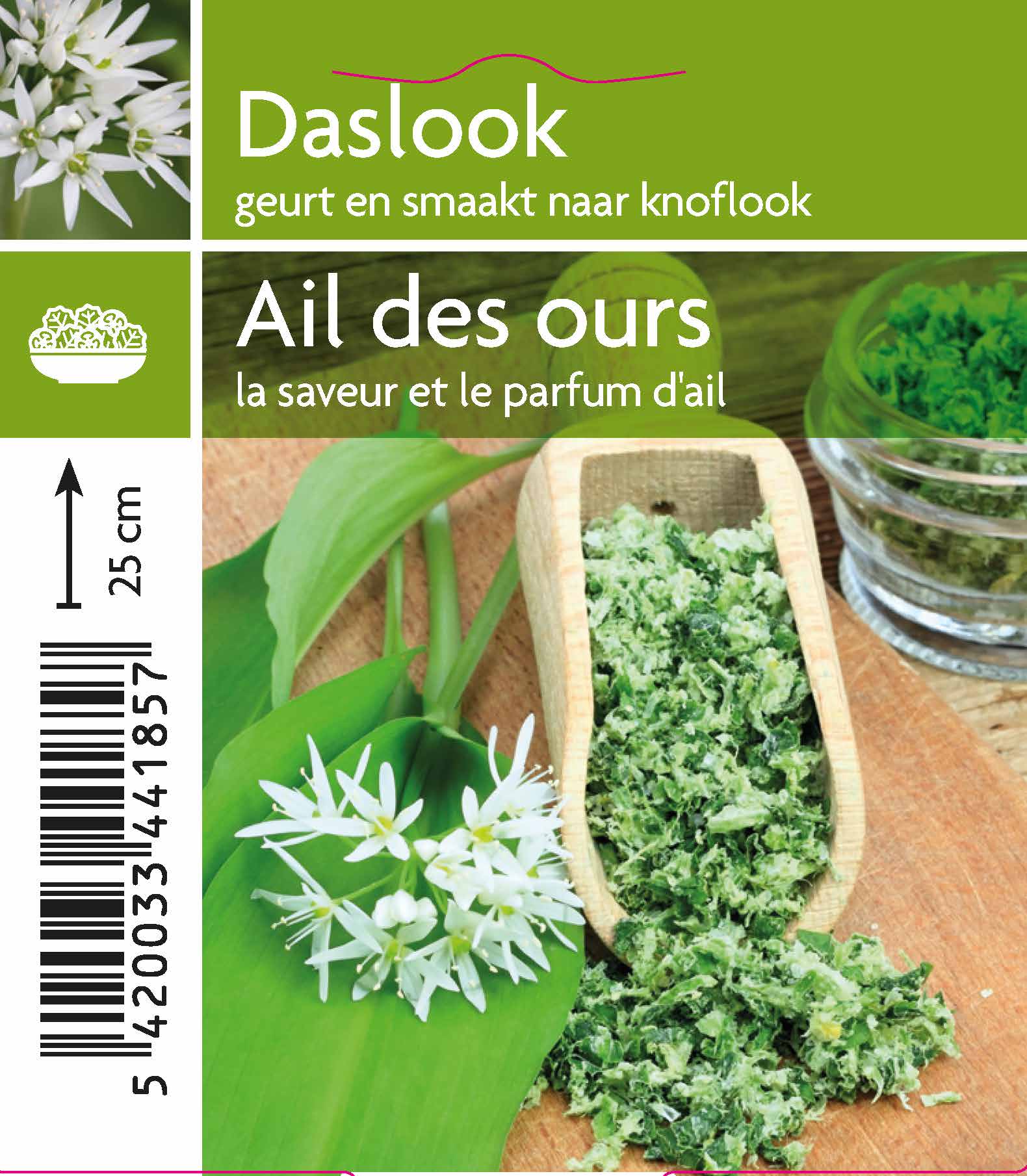 Ail des ours (tray 15 pot)