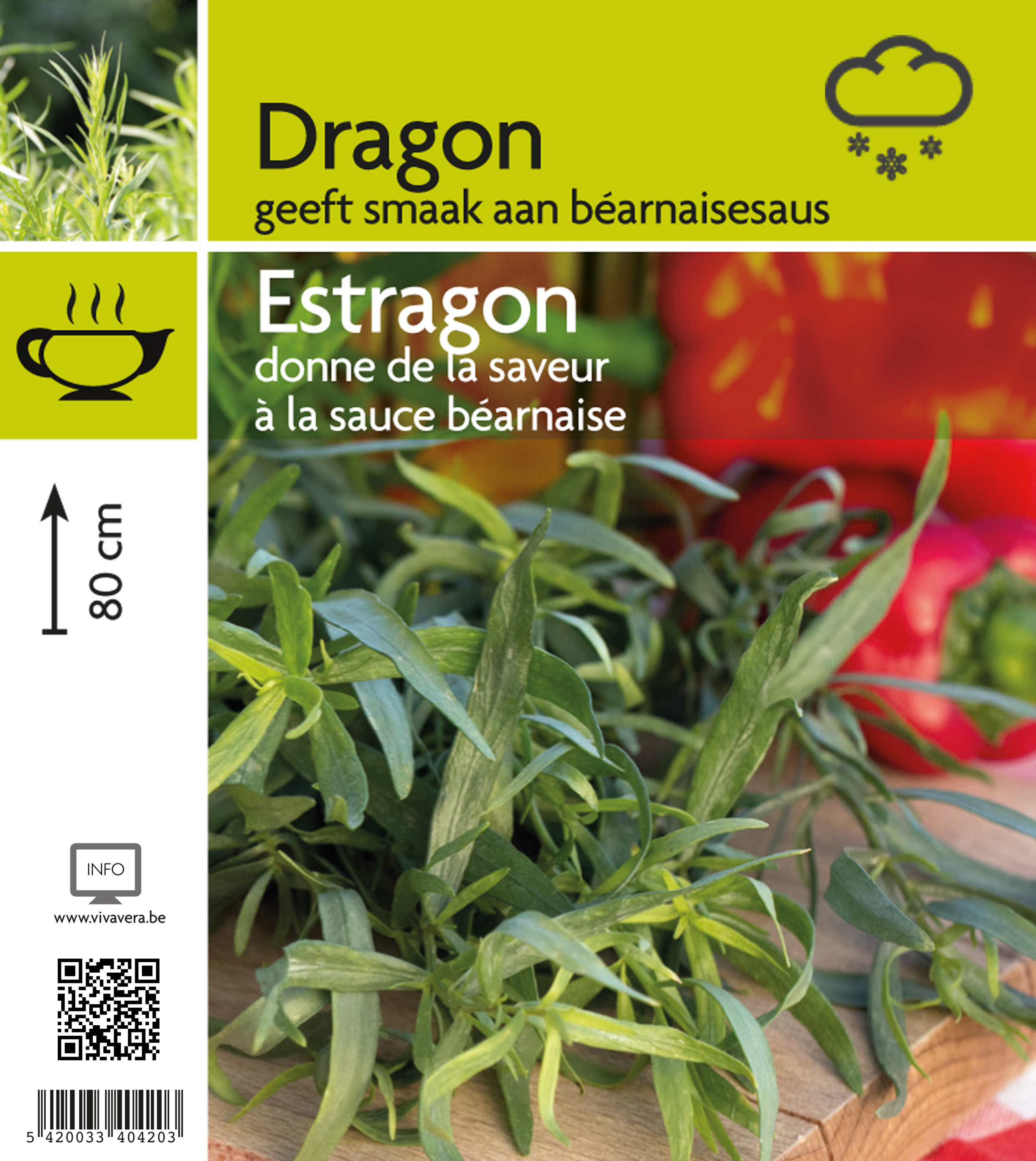 Estragon (tray 15 pot)