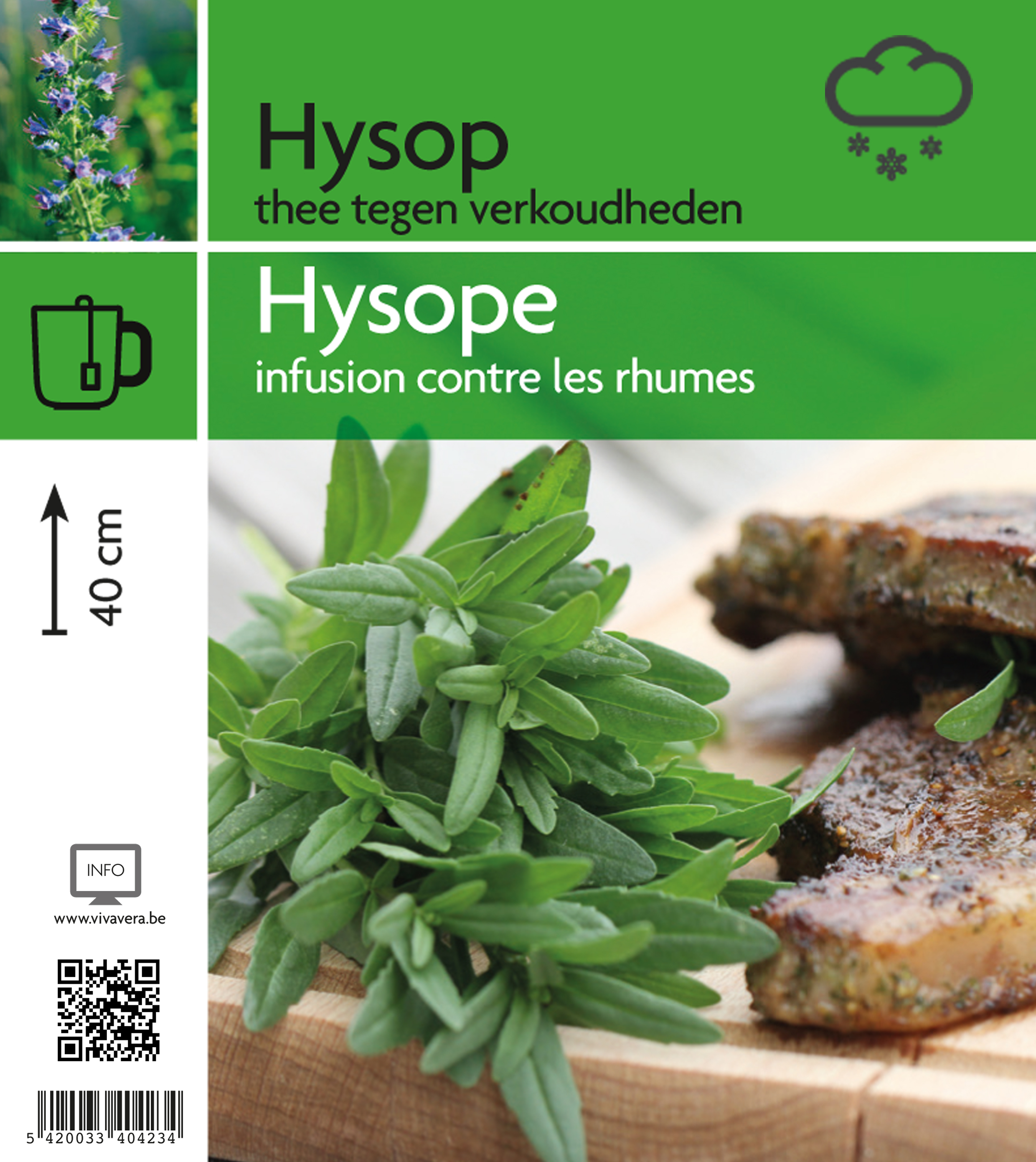 Hyssop (tray 15 pot)