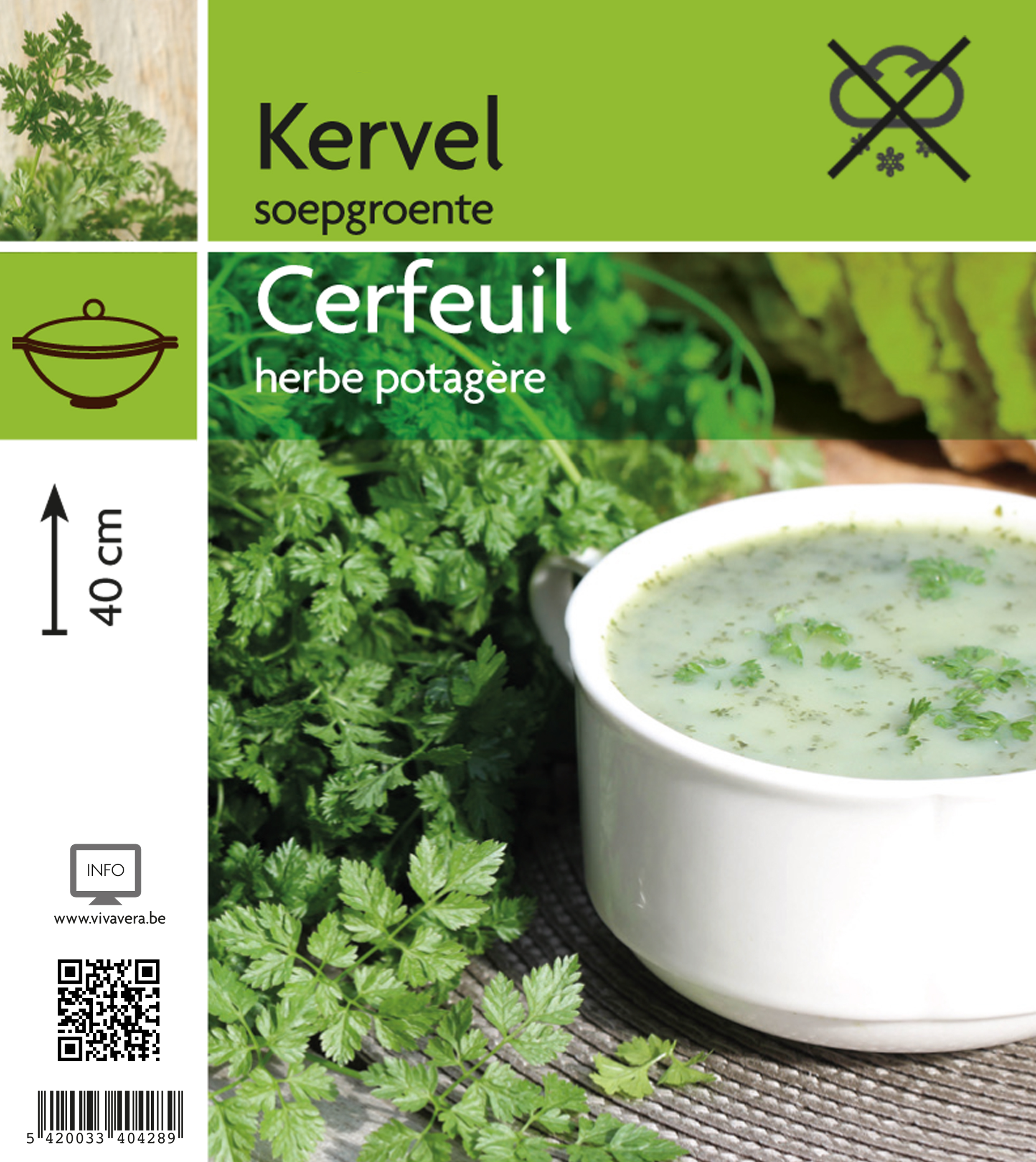 cerfeuil (tray 15 pot)