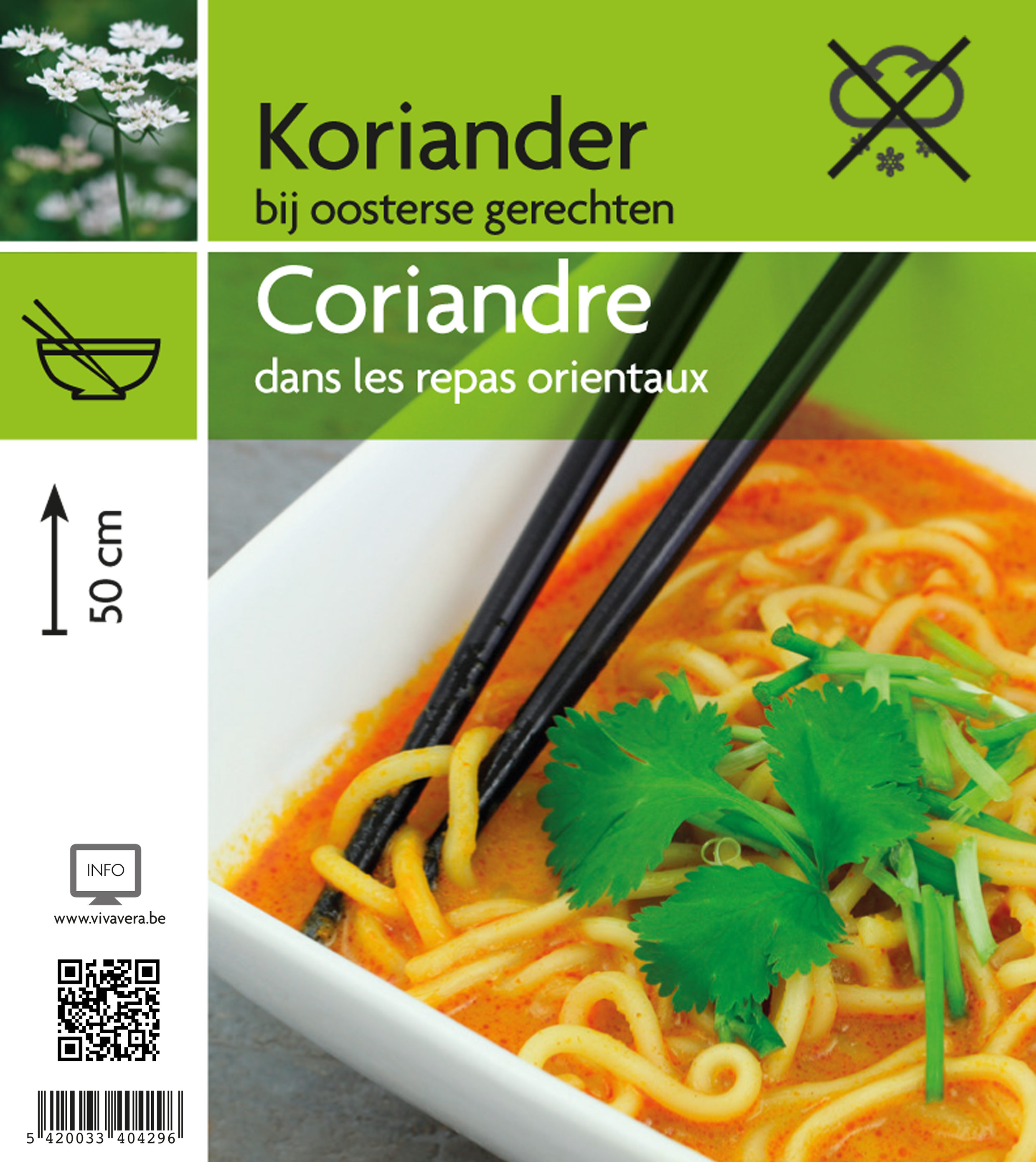 Coriandre (tray 15 pot)