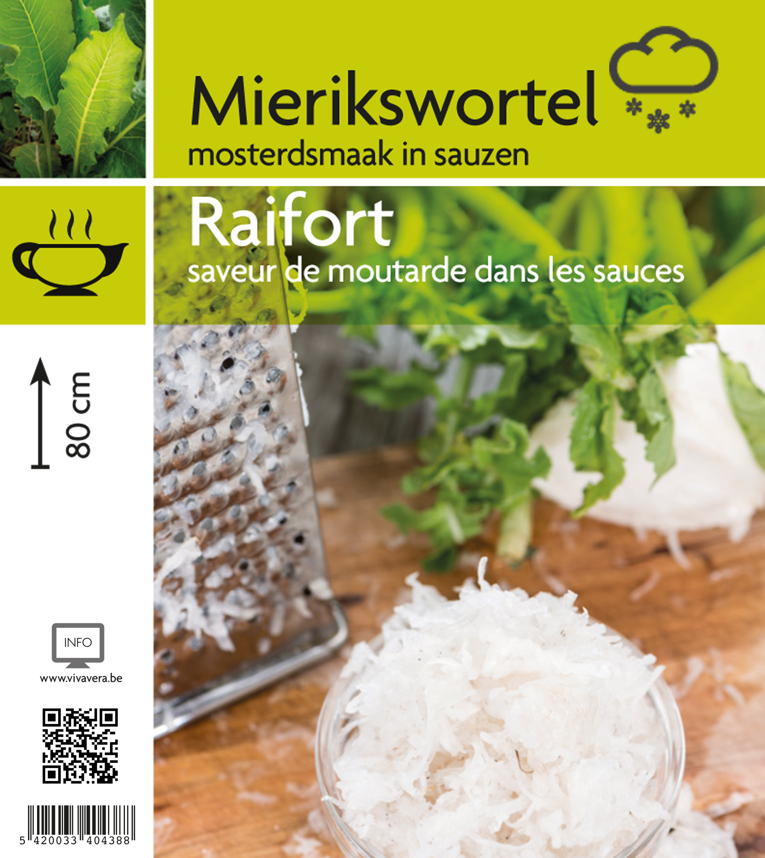 Raifort (tray 15 pot)