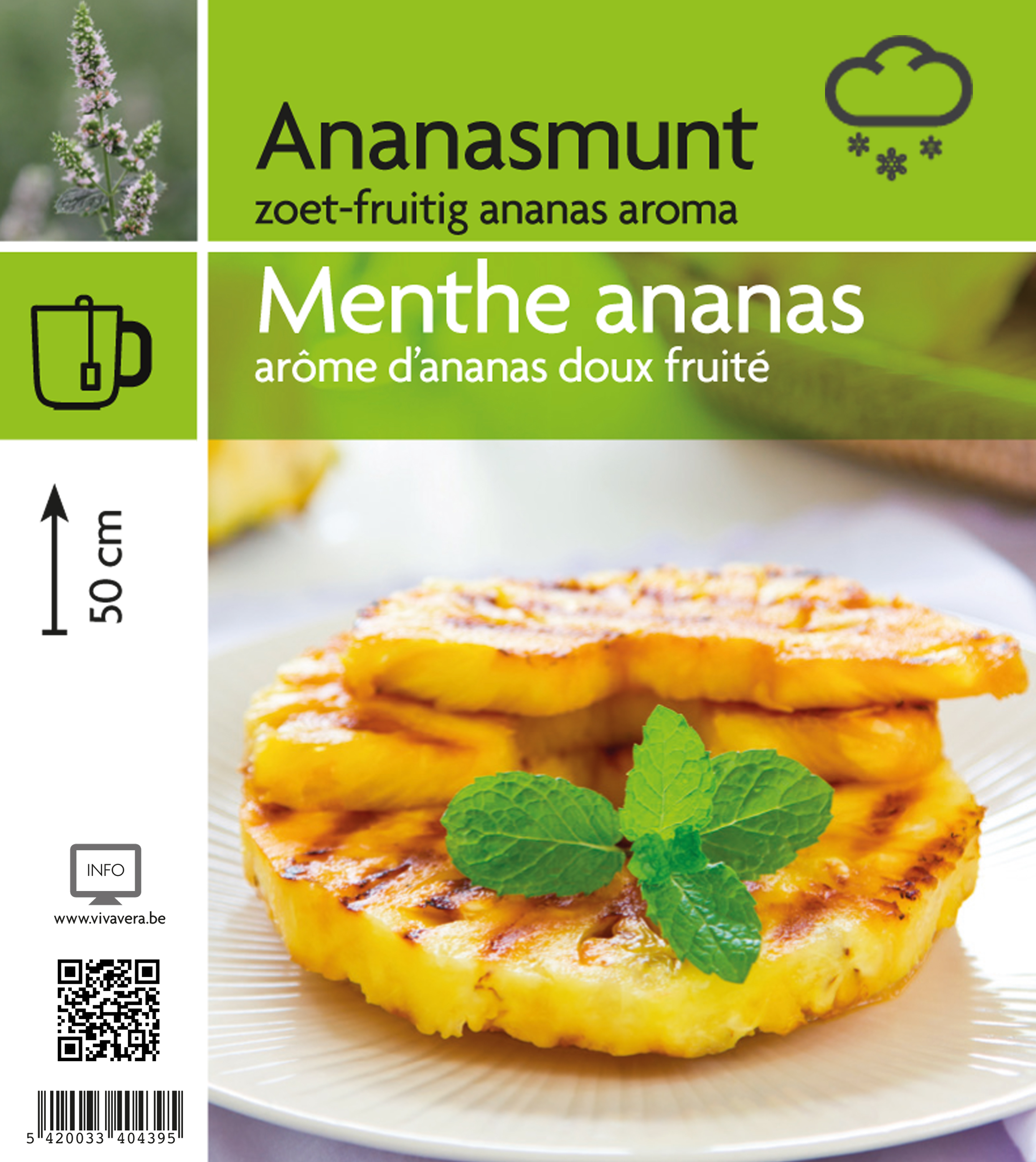 menthe ananas (tray 15 pot)