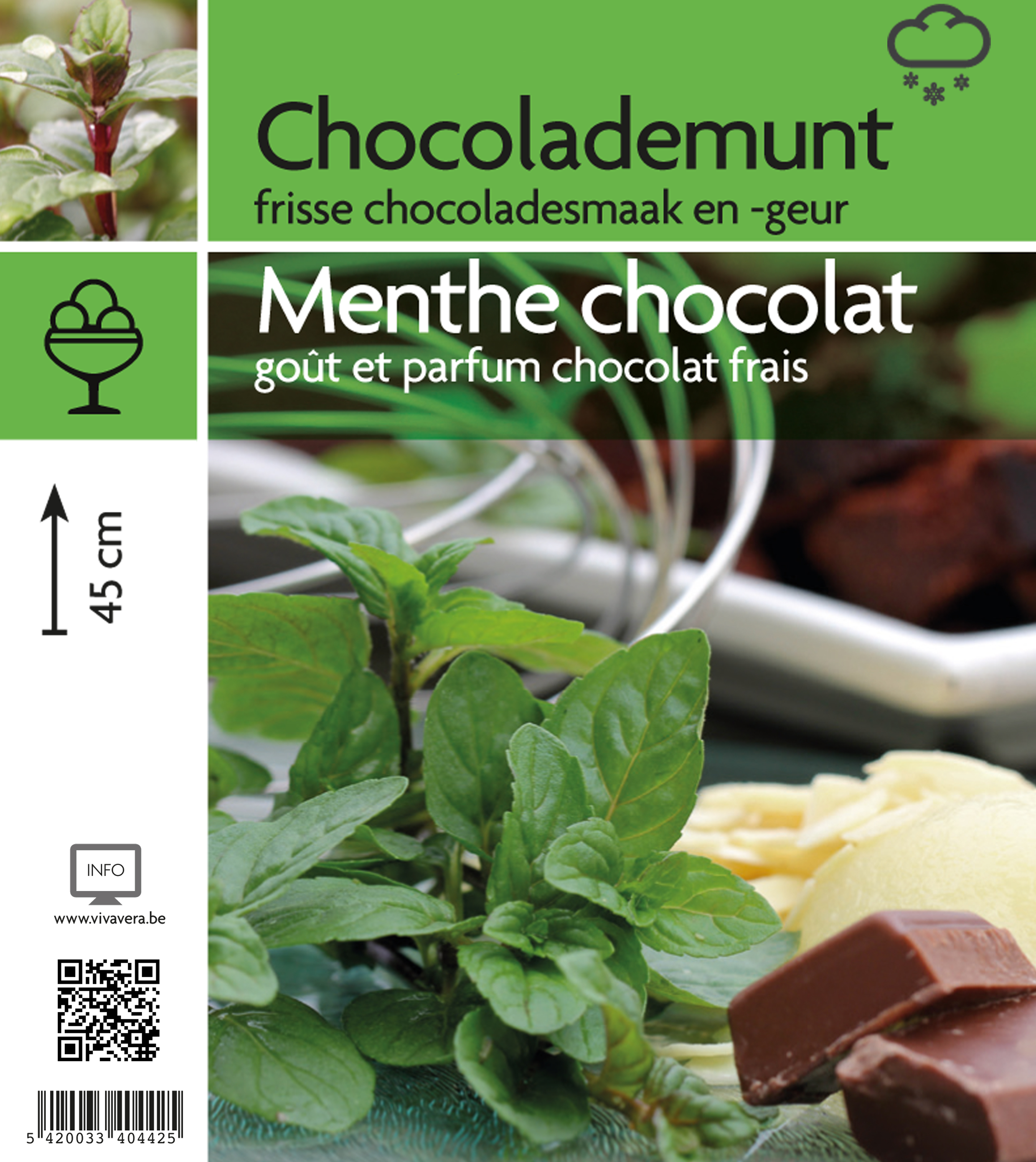 munt chocolade (tray 15 pot)