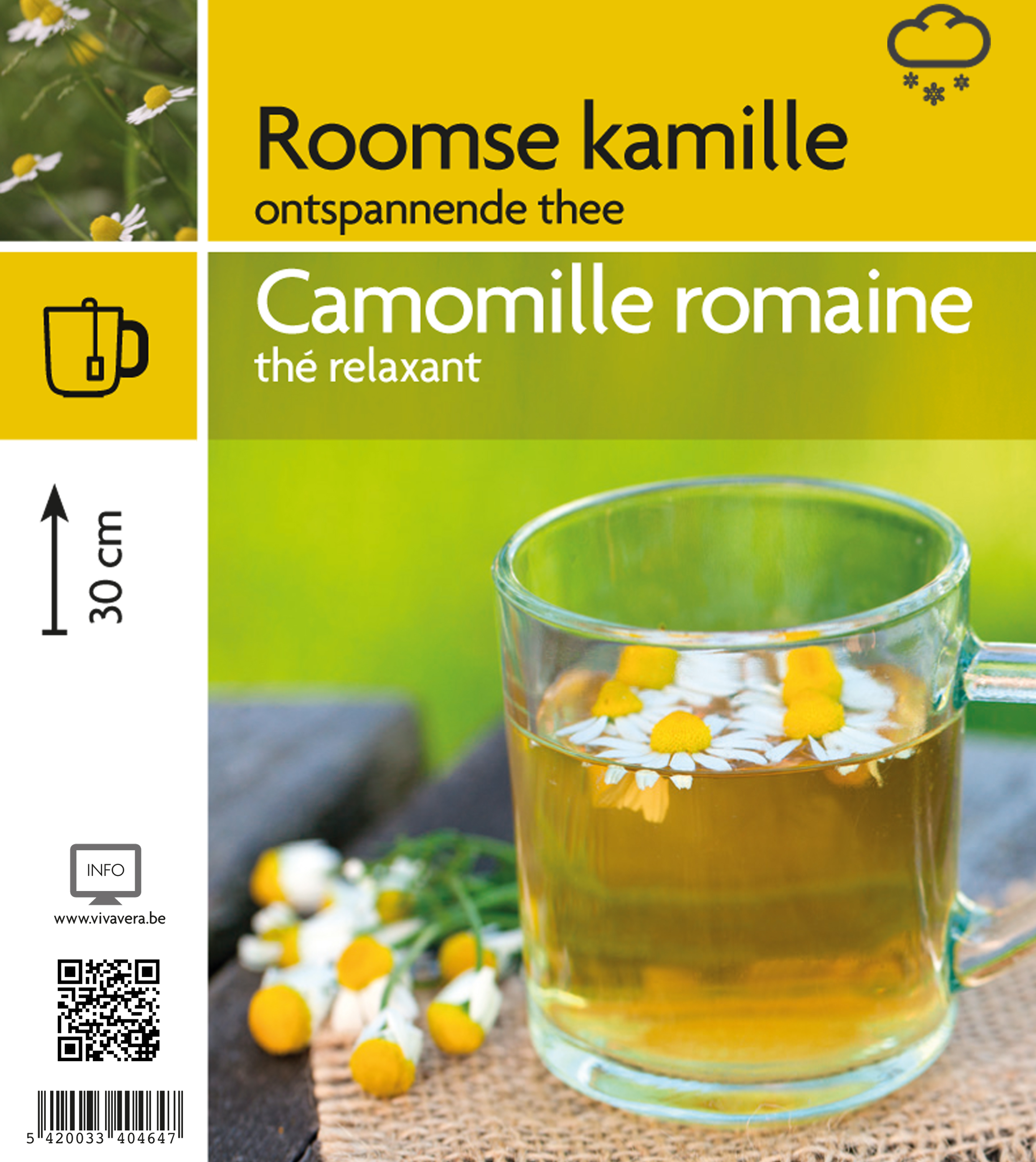 Camomille romaine (tray 15 pot)