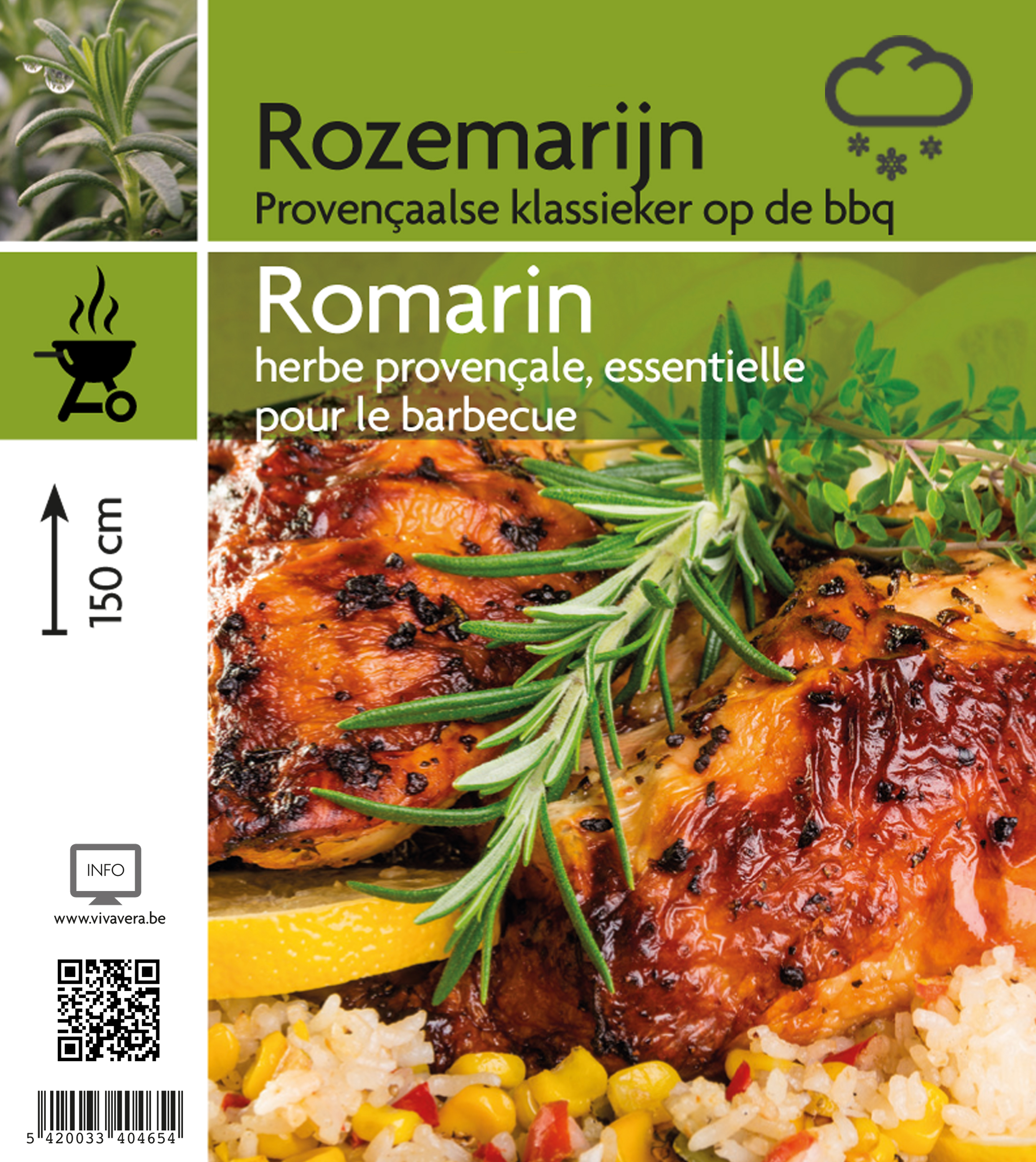 Rozemarijn (tray 15 pot)