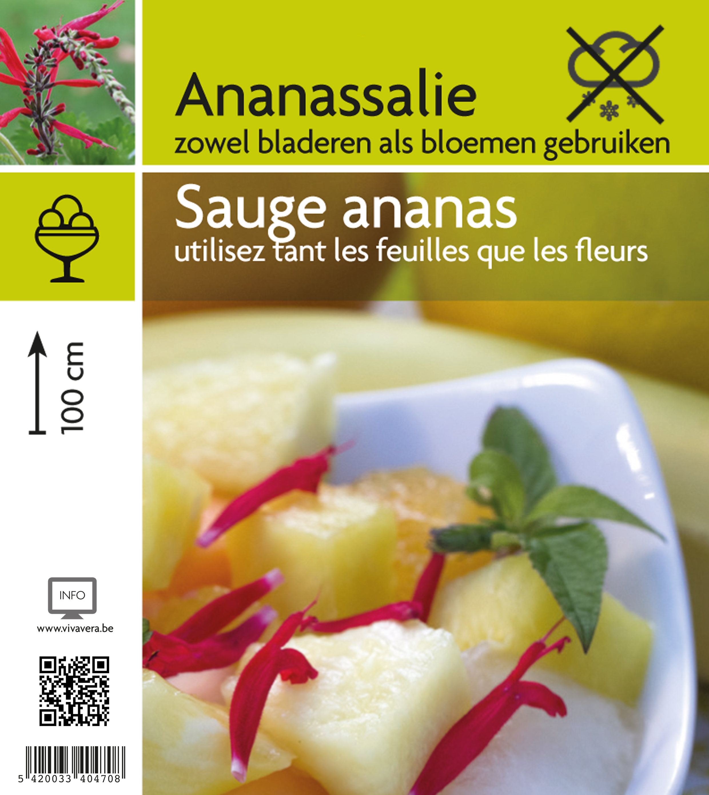 Salie ananas (tray 15 pot)