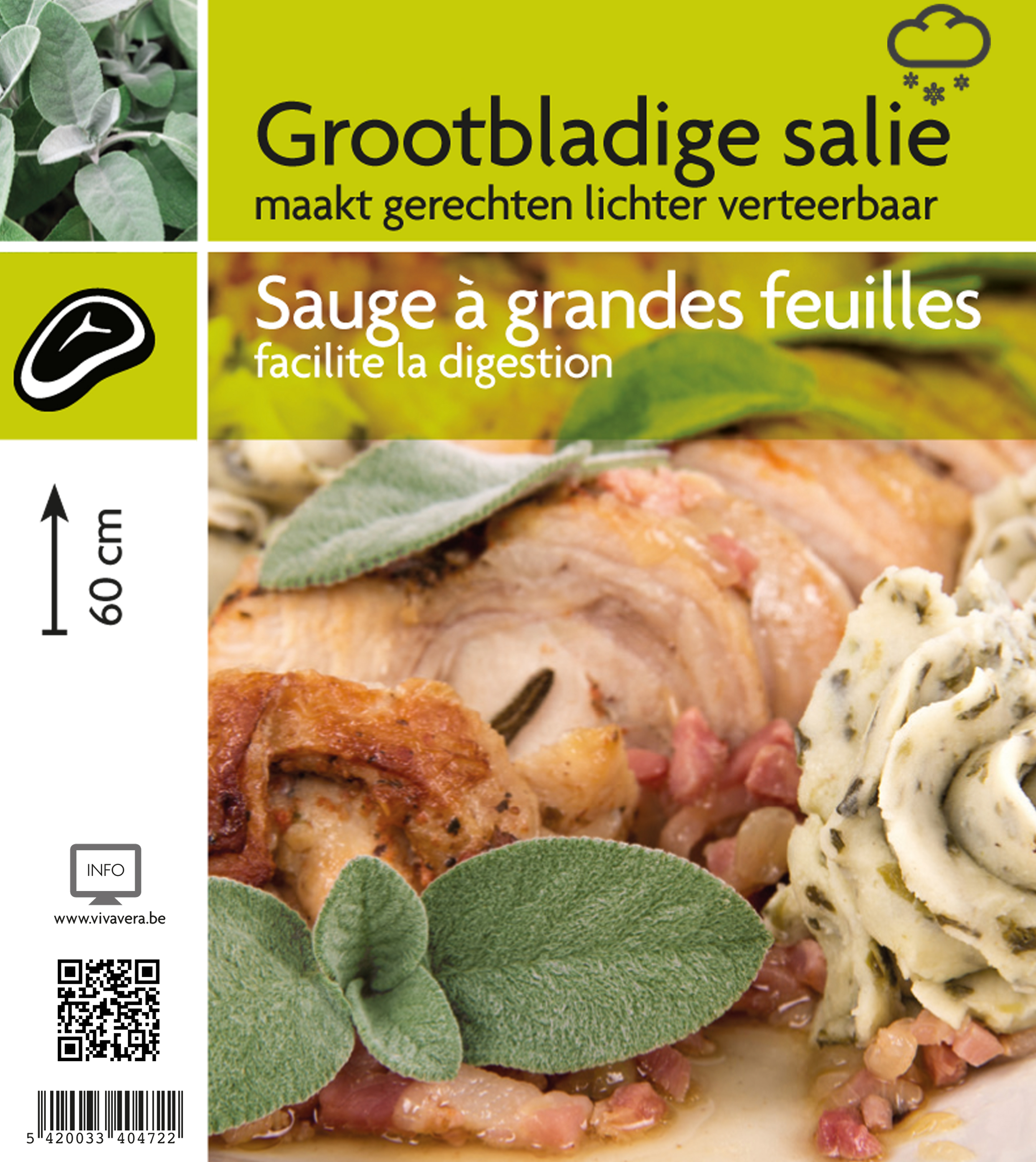 Salie grootbladige (tray 15 pot)