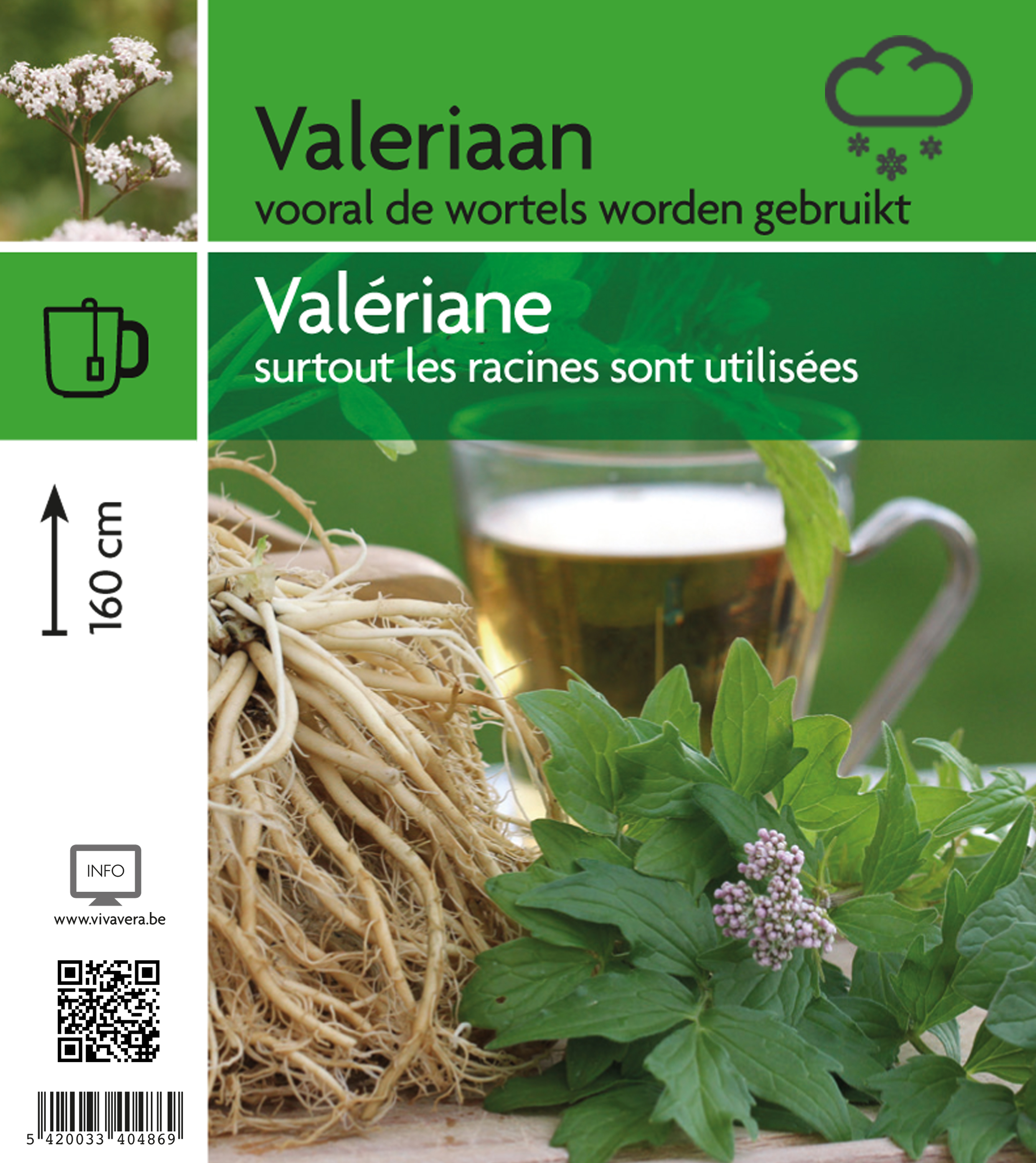 Valériane (tray 15 pot)