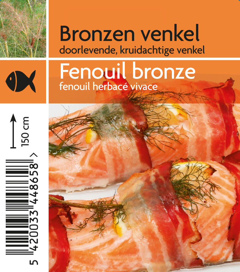 bronzen venkel (tray 15 pot)