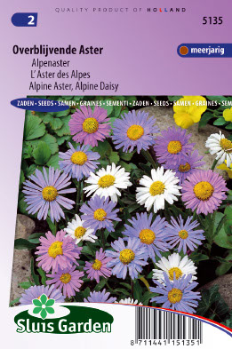 Aster alpinus mix