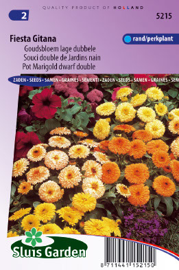 Calendula officinalis Fiesta Gitana mix