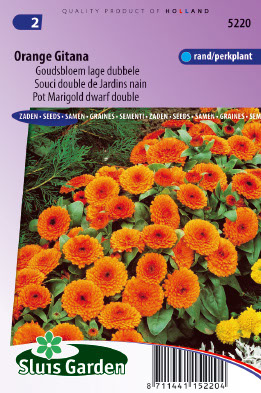 Calendula officinalis Orange Gitana