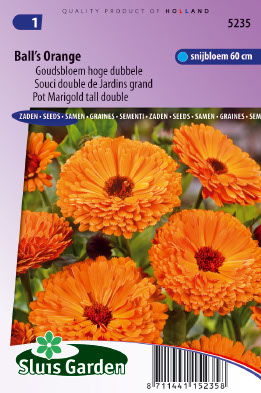 Calendula officinalis Ball's Orange