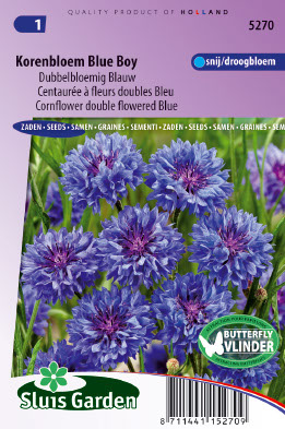 Centaurea Cyanus Korenbloem Dubbel blauw