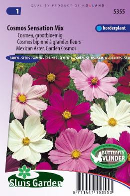 Cosmos bipinnatus Sensation mix