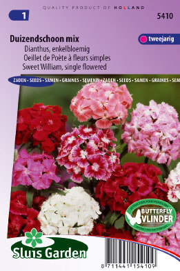 Dianthus barbatus Enkel gemengd