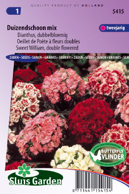 Dianthus barbatus Dubbel gemengd