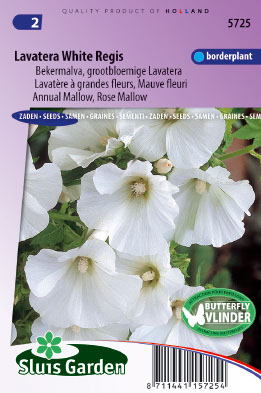 Lavatera trimestris White Regis