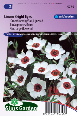 Linum Bright Eyes