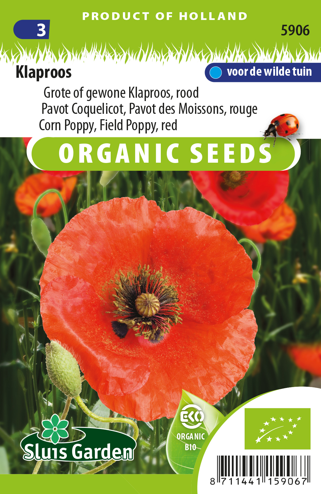 Pavot coquelicot Red Corn Poppy BIO