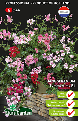 Pelargonium peltatum (hang) F1 Summertime