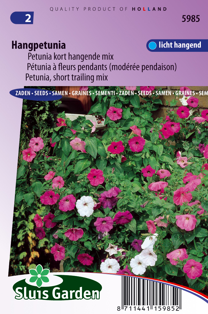 Petunia x hybride pendula Choice mixed