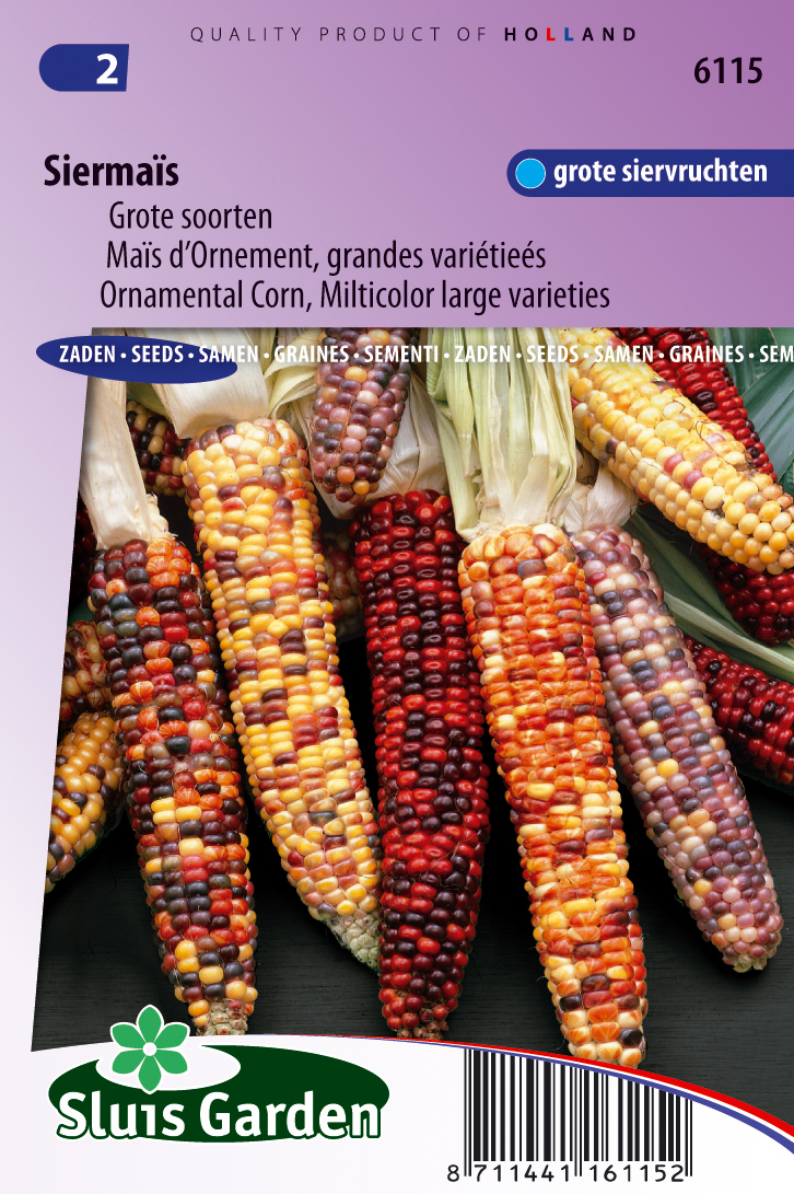 Zea mays Multicolour hybrids mix