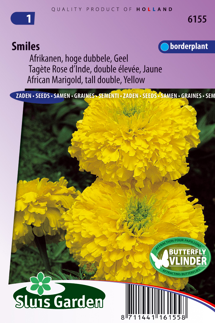 Tagetes erecta Smiles