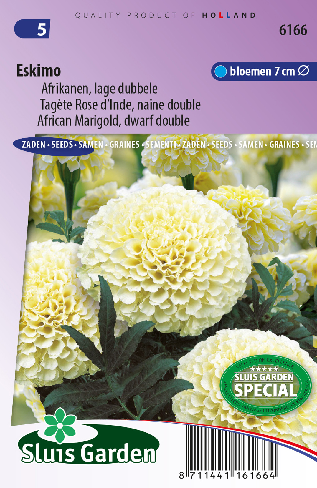 Tagetes erecta nana Eskimo