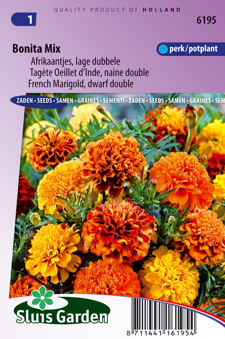 Tagetes patula Bonita mix