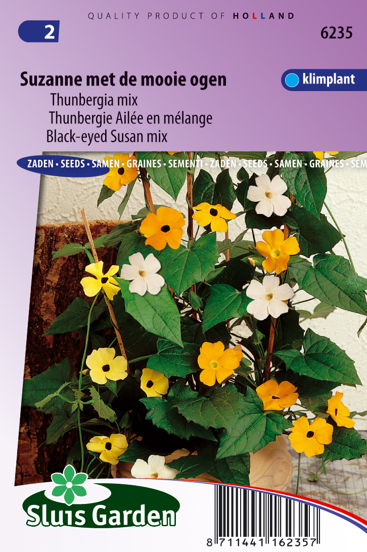 Thunbergia alata Suzanne met de mooie ogen