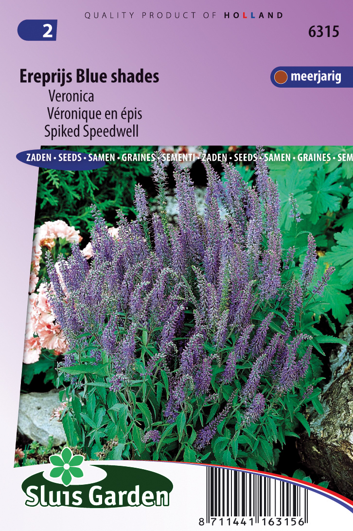 Veronica spicata Blauw