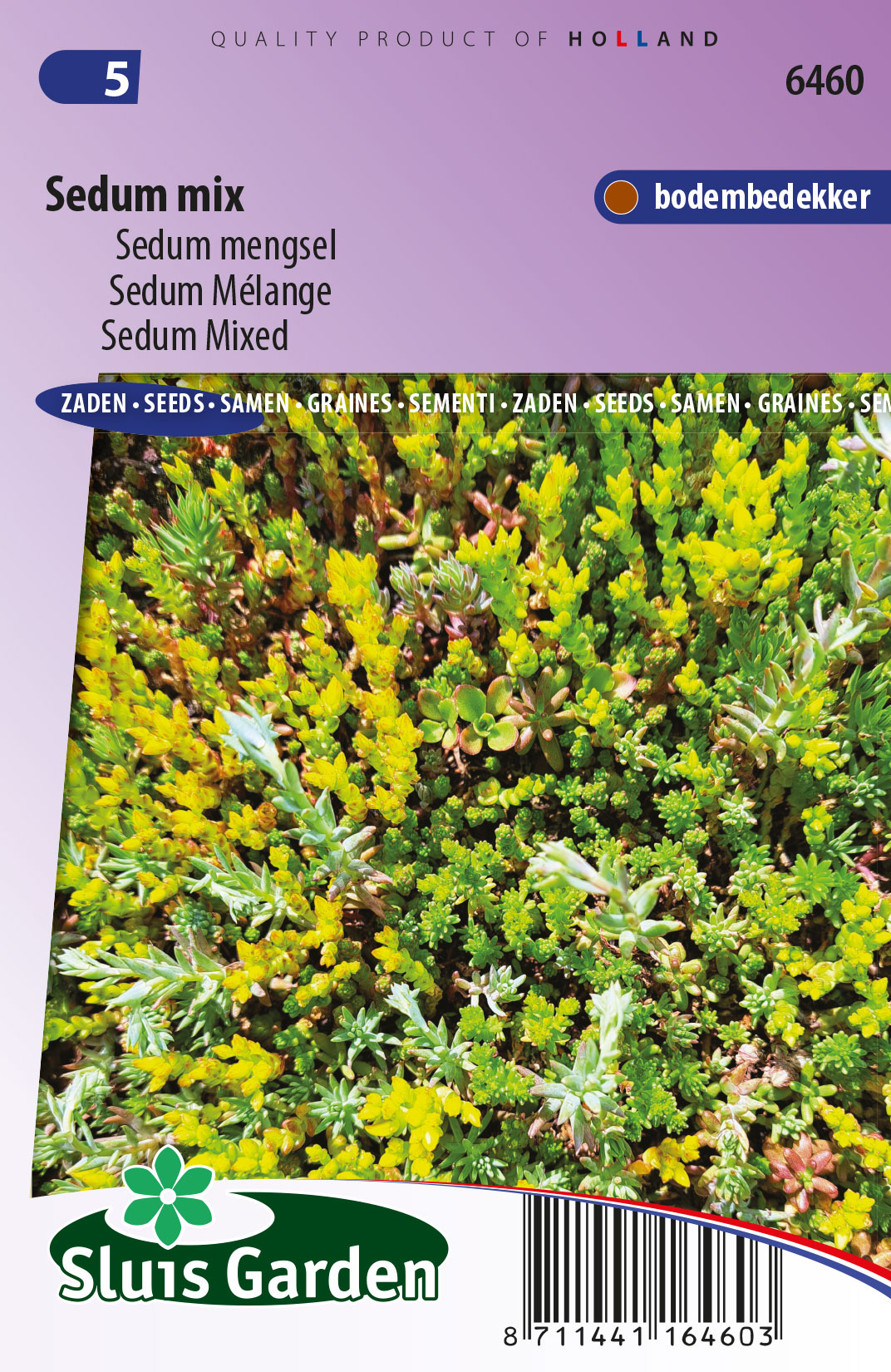 Mélange Sedum