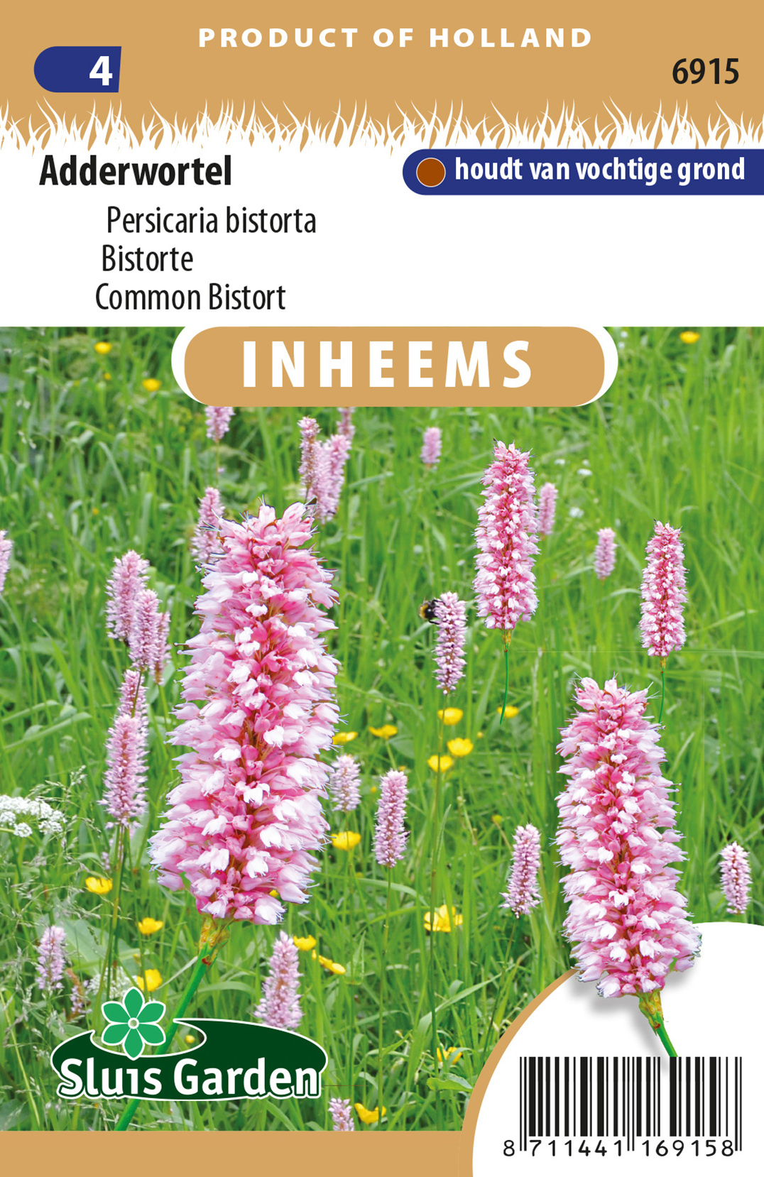 Persicaria bistorta