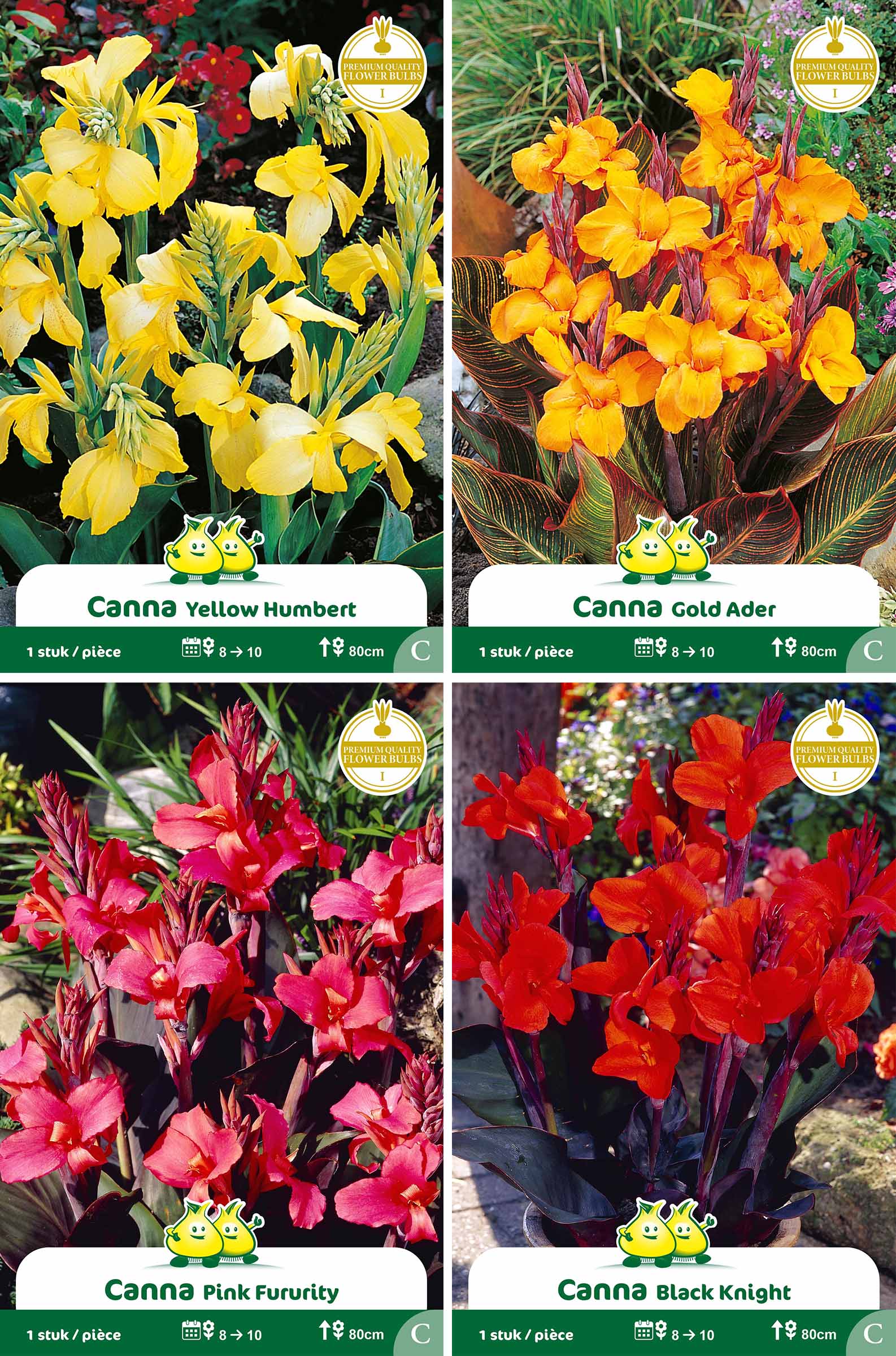 assortiment zakjes Canna