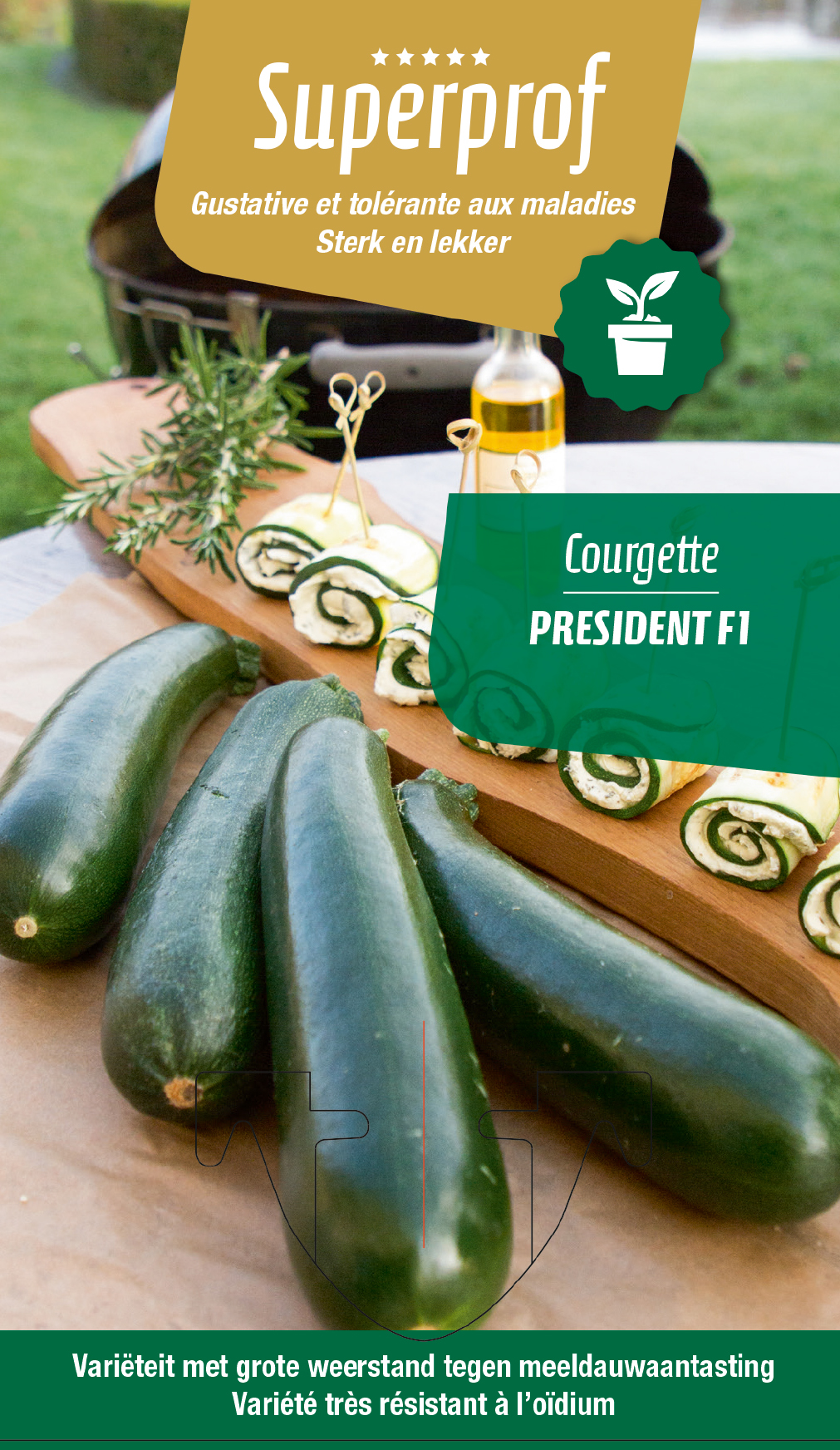Courgette President(tray 8 pot)