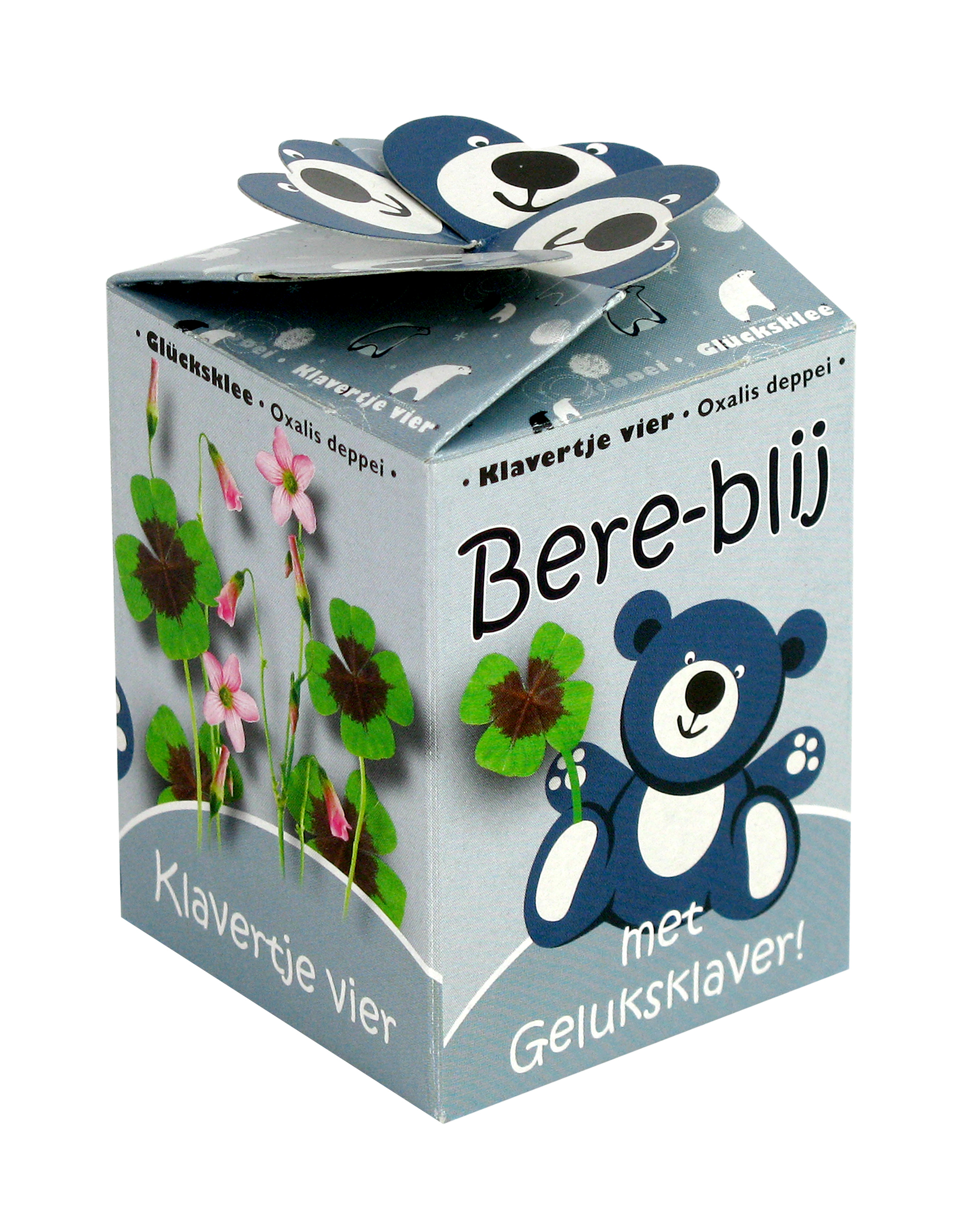 Doosje Bereblij Blauw 7040