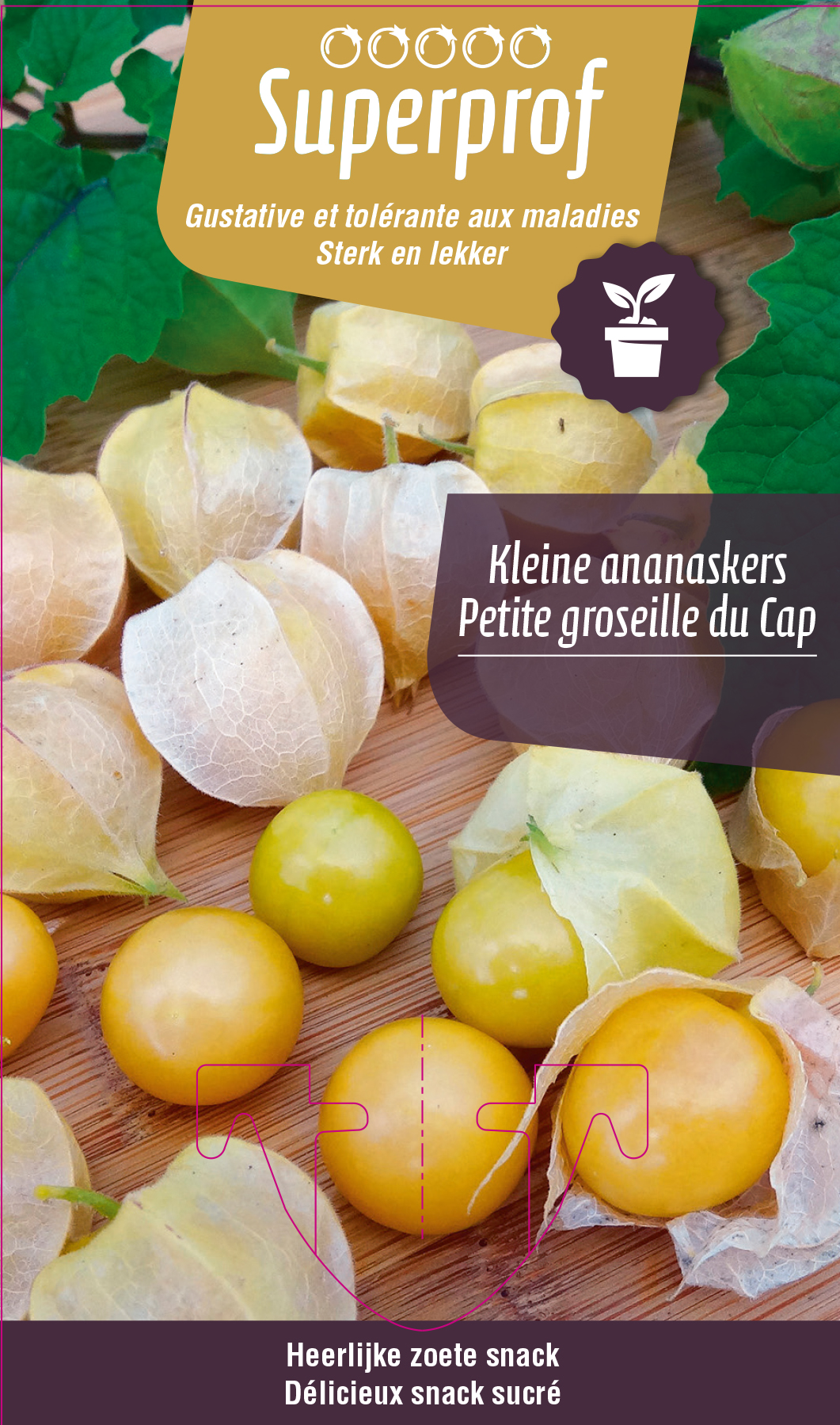 Kleine ananaskers (tray 8 pot)