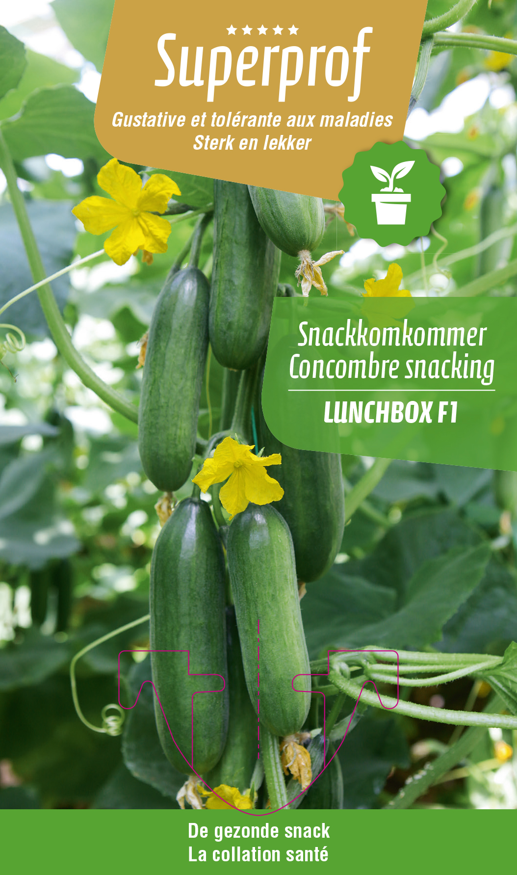 Snack-comcombre Lunchbox (tray 8 pot)