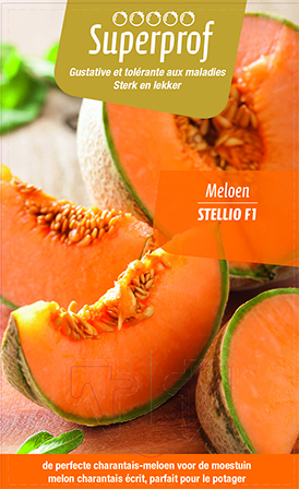 Melon Stellio F1 (tray 8 pot)