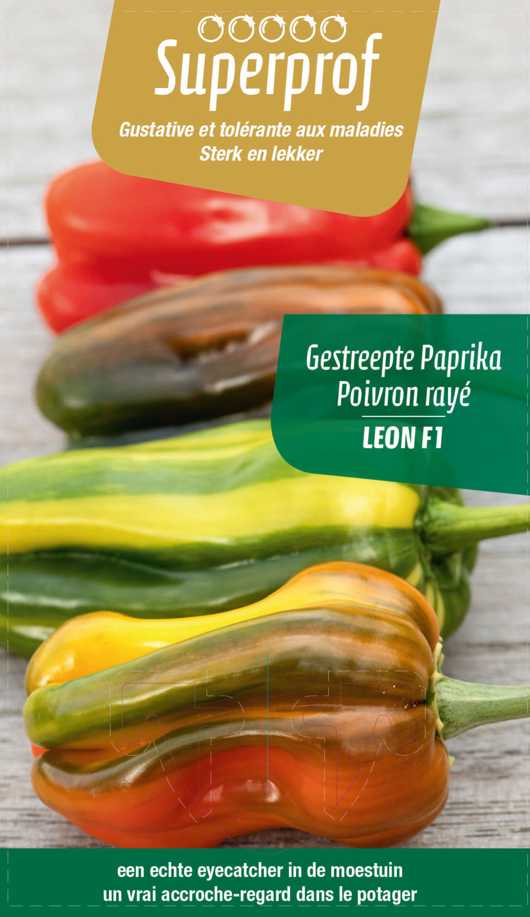 Gestreepte paprika  (tray 8 pot)