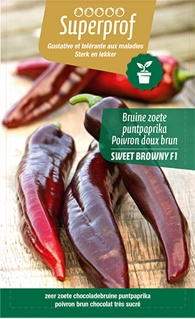 Bruine zoete Puntpaprika  (tray 8 pot)  