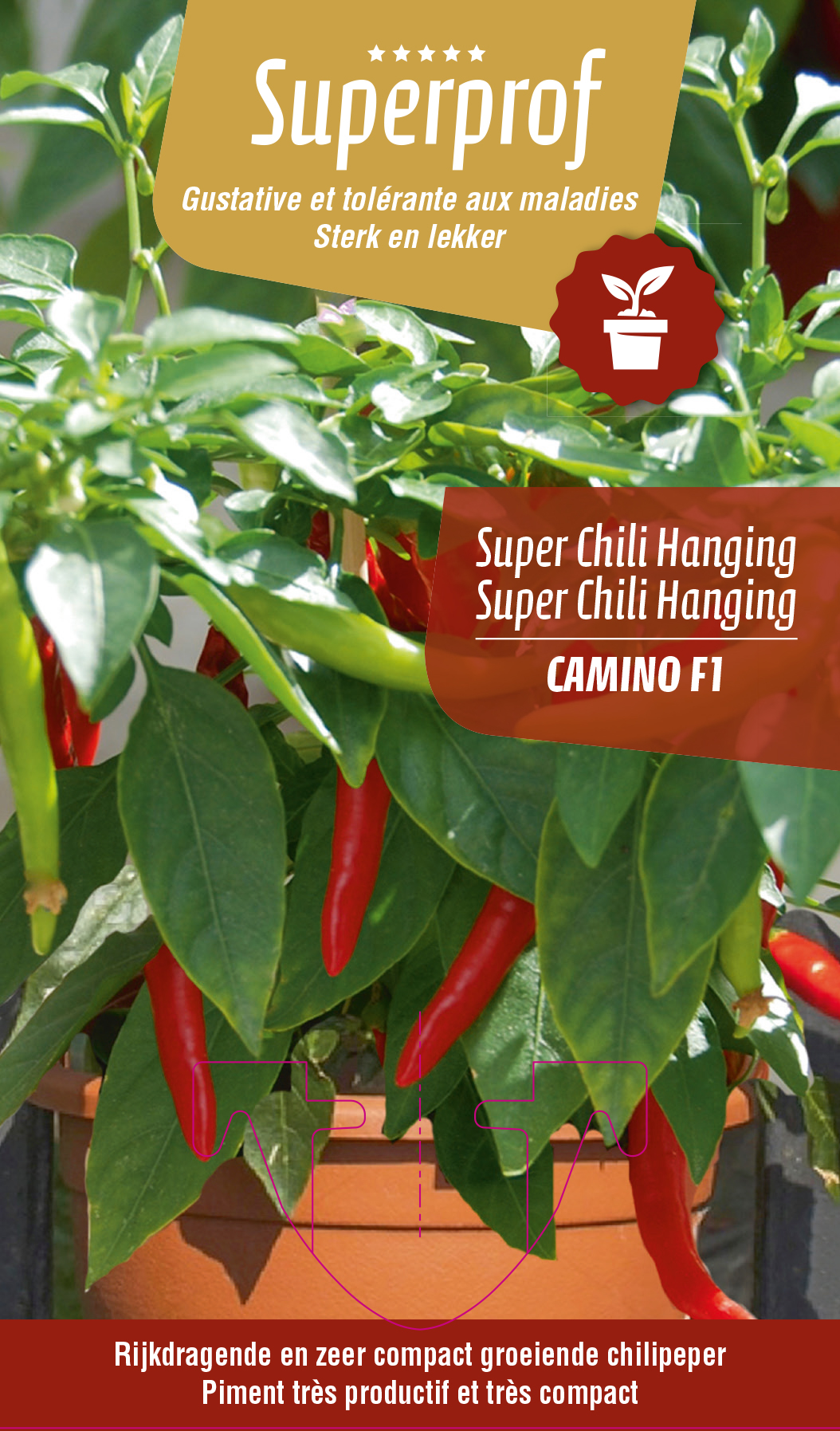 Super Chili hanging (tray 8 pot)