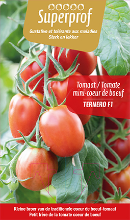 Tomate Mini-Coeur de boeuf (tray 8 pot) 