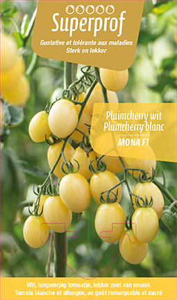 Tomaat witte pruimcherry (tray 8 pot) 