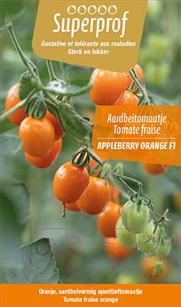 Tomate fraise Appleberry orange F1  (tray 8 pot) 