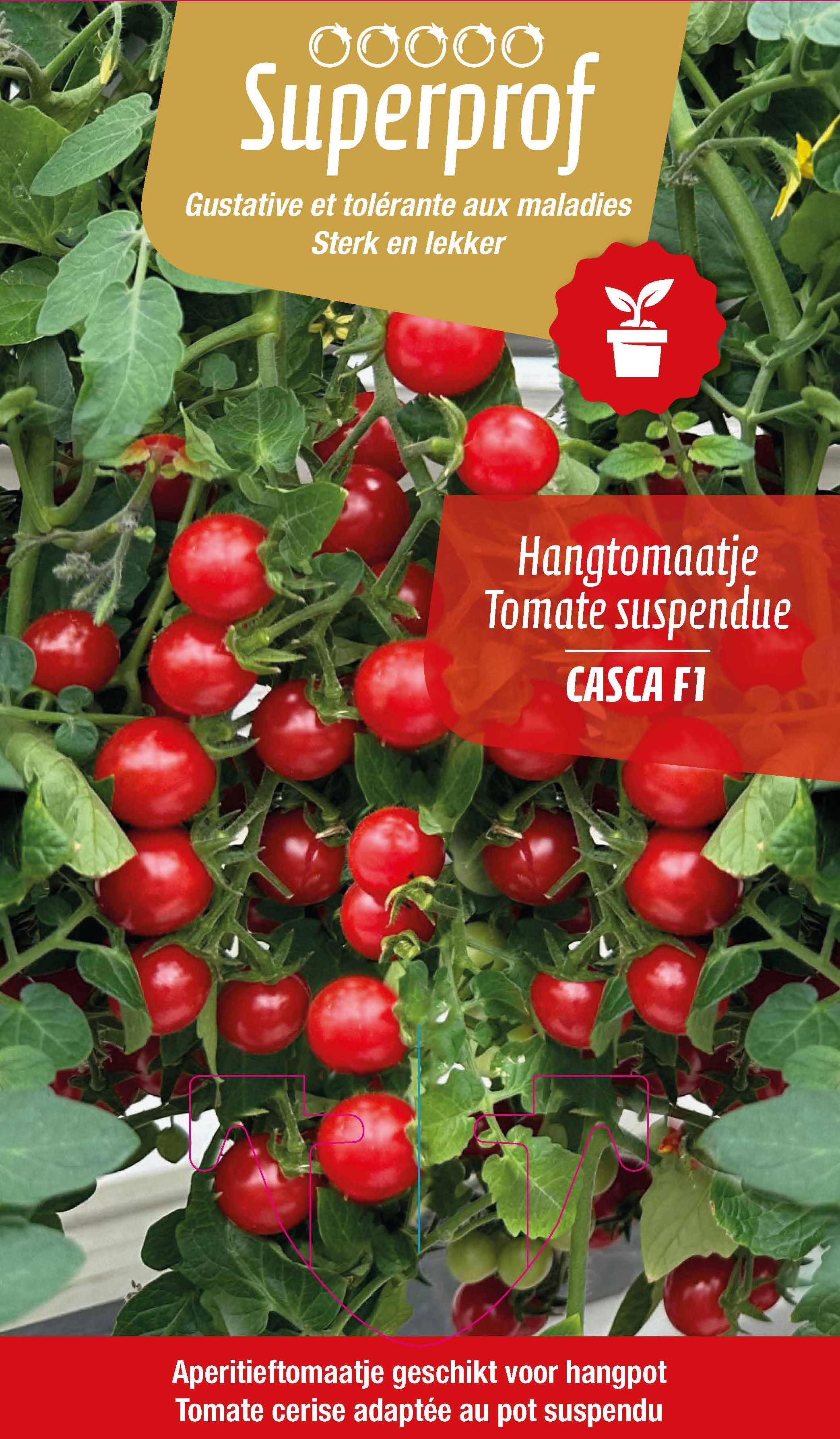 Hangtomaatje rood (tray 8 pot)